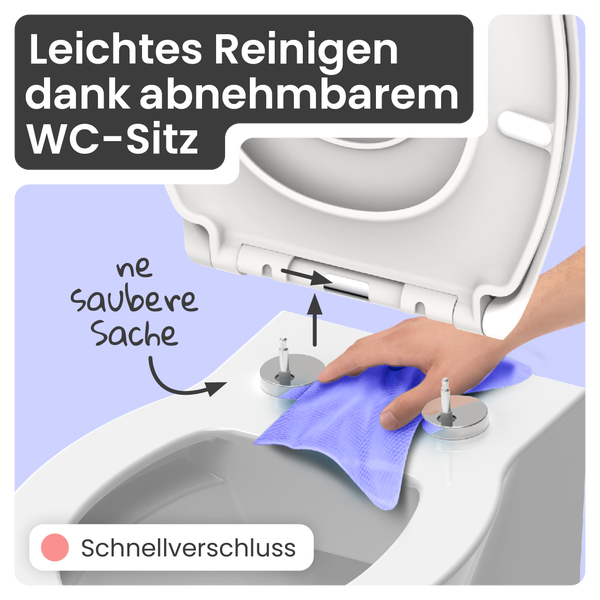 Reinigung eines WC-Sitzes mit Schnellverschluss