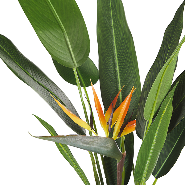 Kunstpflanze STRELITZIA TREE 115 cm Grün