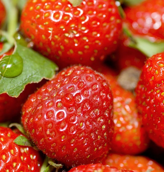 Nahaufnahme von roten Erdbeeren