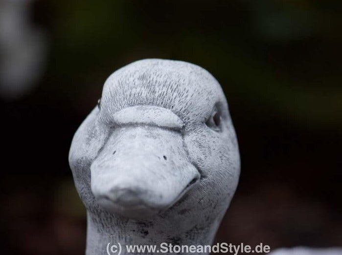 Nahaufnahme der Gartenfigur einer Gans aus Steinguss für die Gartendekoration.