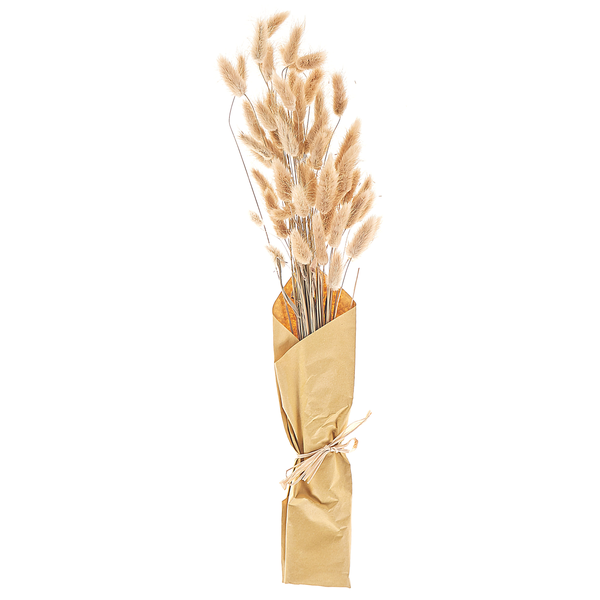 Trockenblumenstrauß SANABRIA 58 cm Naturfarben