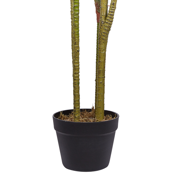 Kunstpflanze DRACAENA ANITA 147 cm Grün