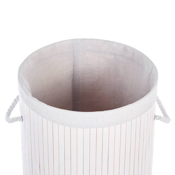 Drei schmale, säulenförmige Zypressen in schwarzen Kunststofftöpfen.