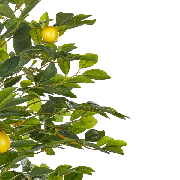 Kunstpflanze LEMON TREE 156 cm Grün