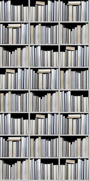 ESTAhome XXL-Vliestapete Bücherregal Schwarz, Grau, Beige und Weiß - 50 x 900 cm - 158205