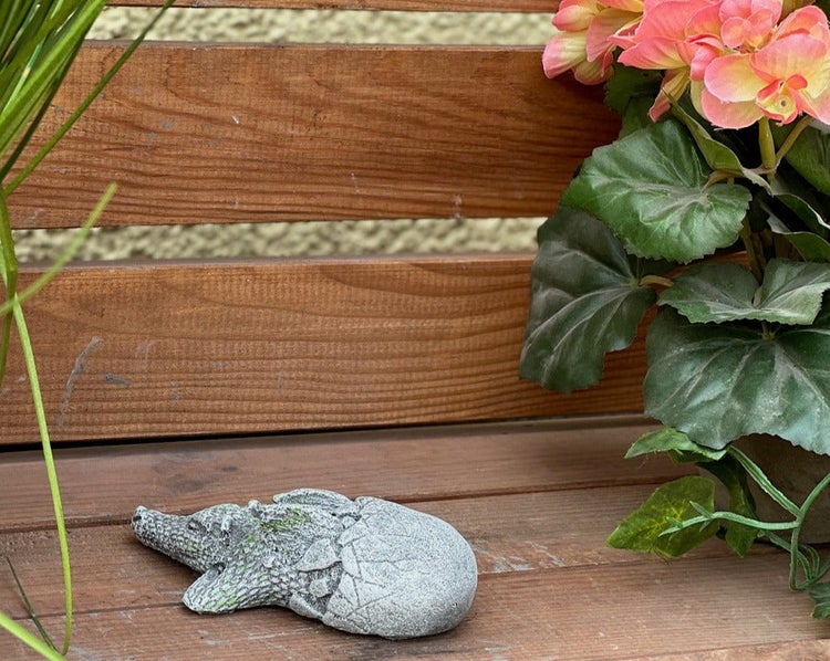 Gartendeko-Figur schlüpfendes Krokodil auf einer Holzbank neben einer Pflanze.