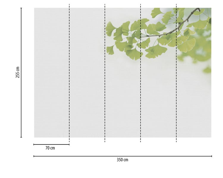 Vliestapete Fototapete mit Ginkgoblättern, Breite 350 Zentimeter, Höhe 255 Zentimeter, Bahnbreite 70 Zentimeter.