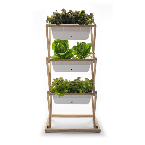 Dreistöckiges Hochbeet mit Salatpflanzen