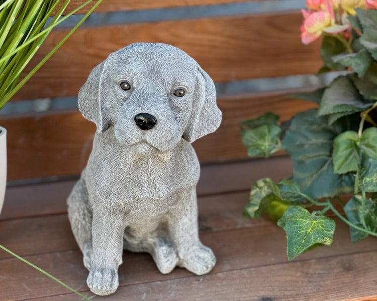 Gartenfigur eines sitzenden Hundewelpen aus Steinguss in Steinoptik.