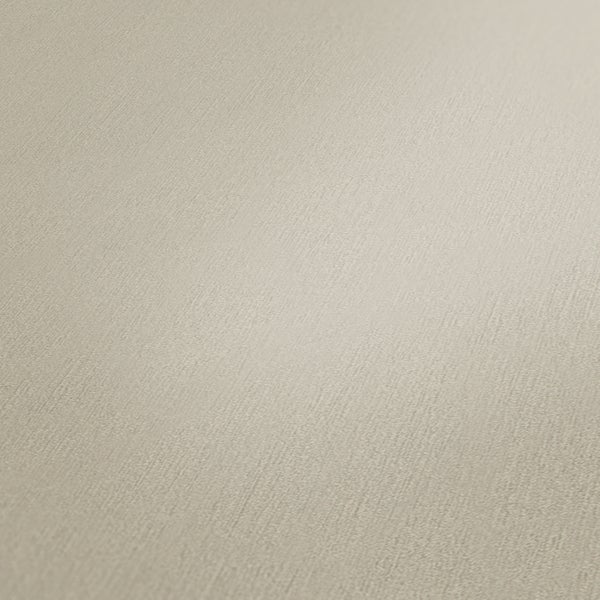 Eine Person in Arbeitskleidung hält eine Aluminiumleiter mit rotem Griff.