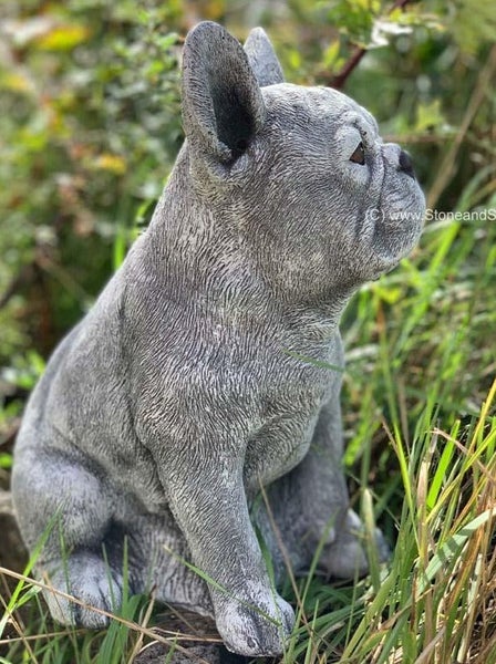 Steinfigur einer sitzenden Französischen Bulldogge zur Gartendekoration