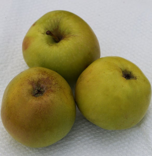 Drei grüne Äpfel