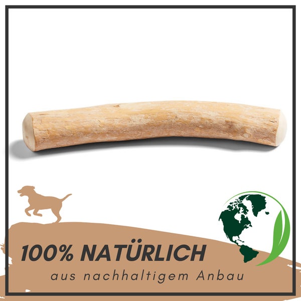 Kaustab für Hunde aus Holz