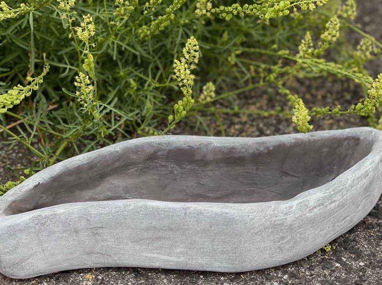 Pflanzschale aus Beton mit organischer, geschwungener Form für den Garten.