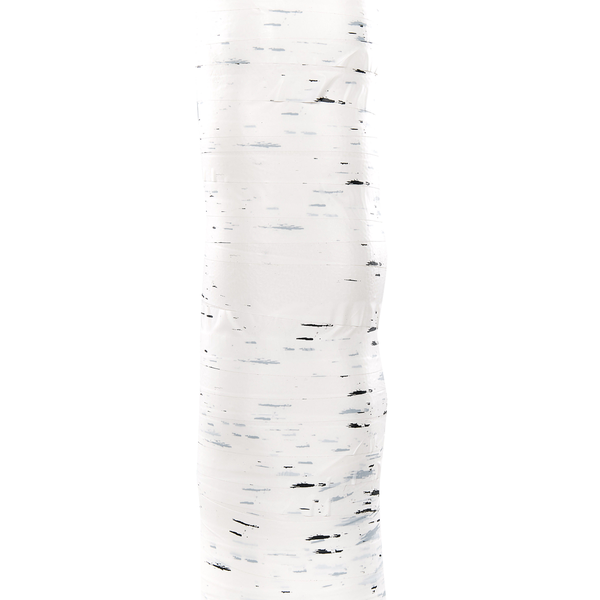 Birkenstamm zum Dekorieren