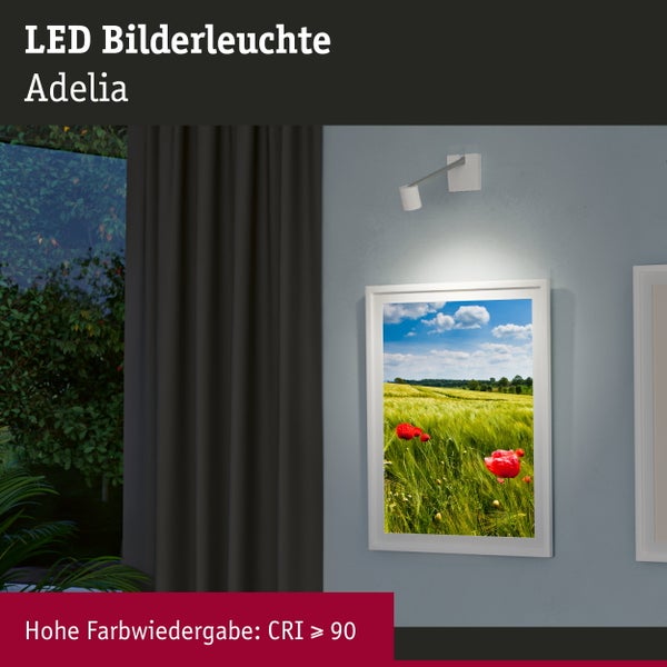 Technische Informationen und Barcode fuer Paulmann LED Leuchte mit 24 Volt Gleichspannung und 6 Watt Leistung inklusive Treiber.