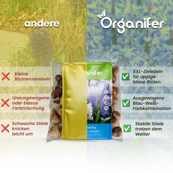 Grafik, die Organifer Blumenzwiebeln mit den Vorteilen gegenüber anderen Blumenzwiebeln vergleicht