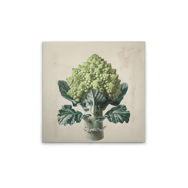 Quadratische Leinwand mit Romanesco-Brokkoli-Motiv