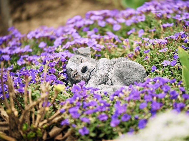 Eine steinerne Gartenfigur in Form eines schlafenden Hundes inmitten eines Beets mit violetten Blumen.