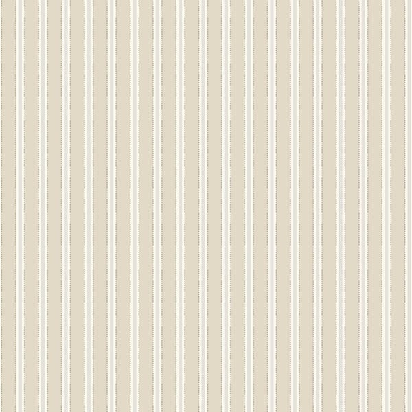 Zwei Schaber-Ersatzklingen mit Befestigungsloch