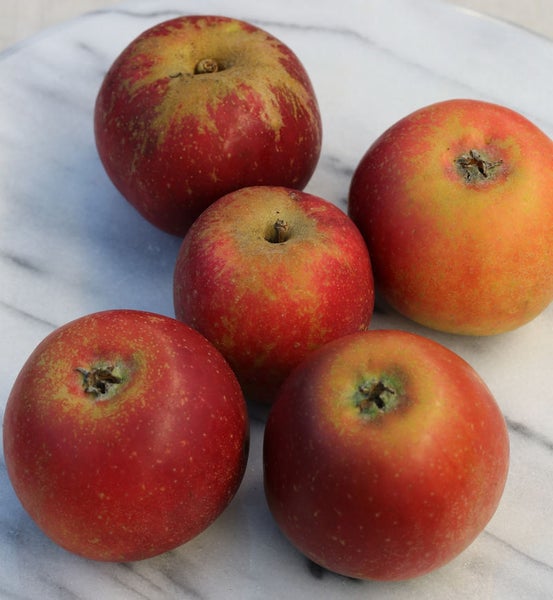 Fünf rote Äpfel auf Marmor