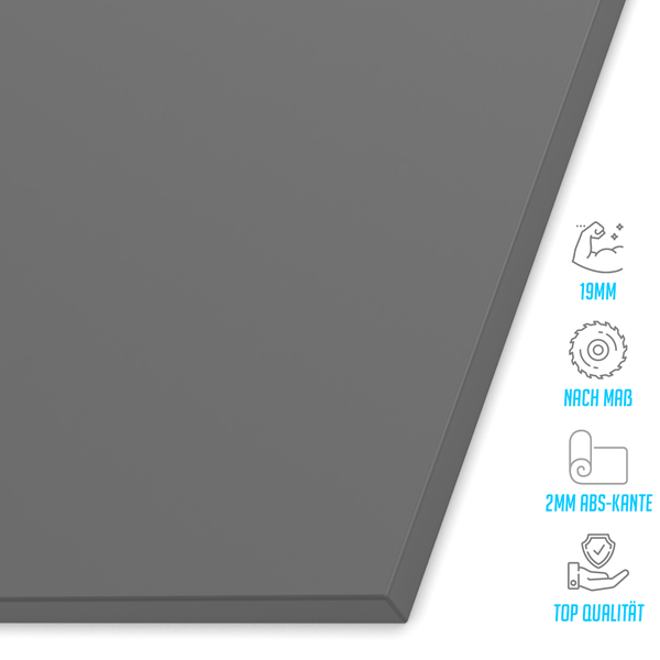 Platte mit 19 mm Stärke, individuell zuschneidbar, 2 mm ABS-Kante, hohe Qualität
