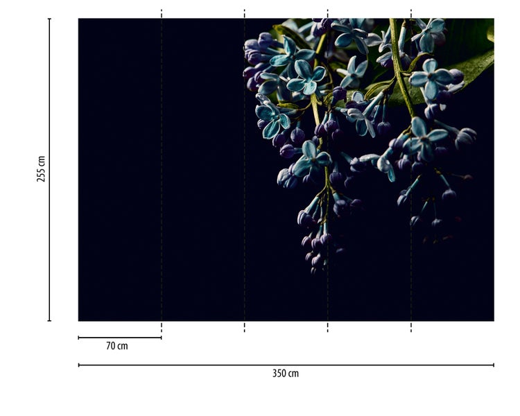 Fototapete mit Fliedermotiv, Breite 350 Zentimeter, Höhe 255 Zentimeter, 5 Bahnen mit je 70 Zentimeter.