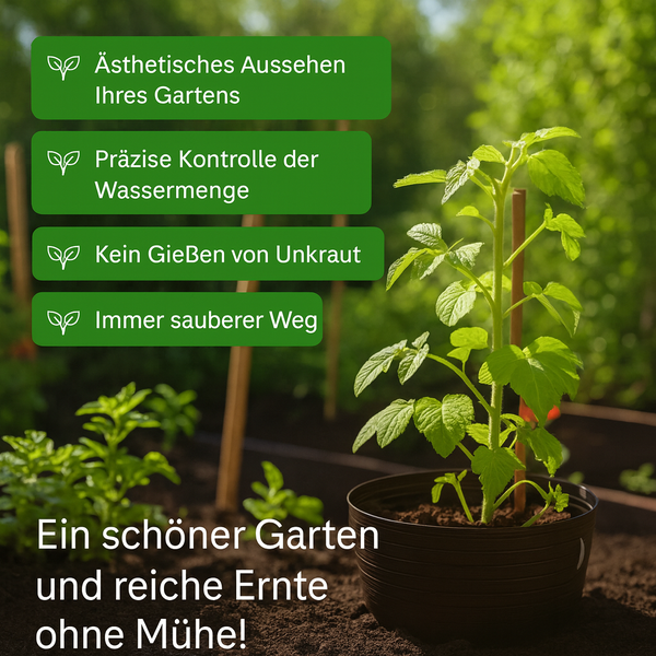 Pflanze in einem Topf im Gartenbeet mit Hinweisen zu ästhetischem Aussehen, Wasserkontrolle, Unkrautvermeidung und Sauberkeit