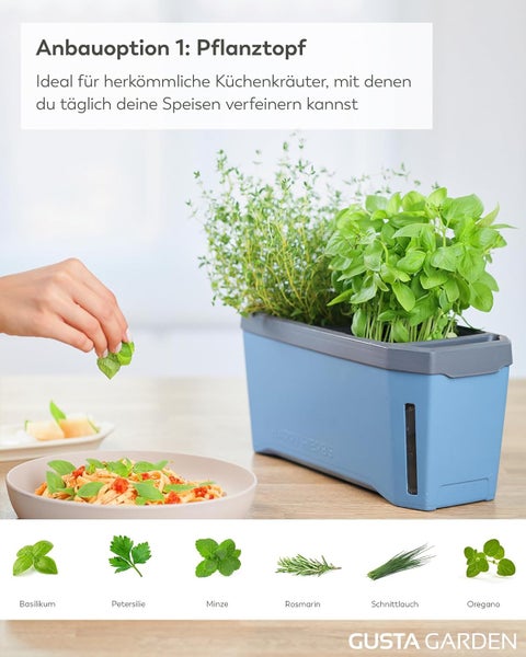 Pflanztopf mit Kräutern und ein Teller Pasta mit Kräutern