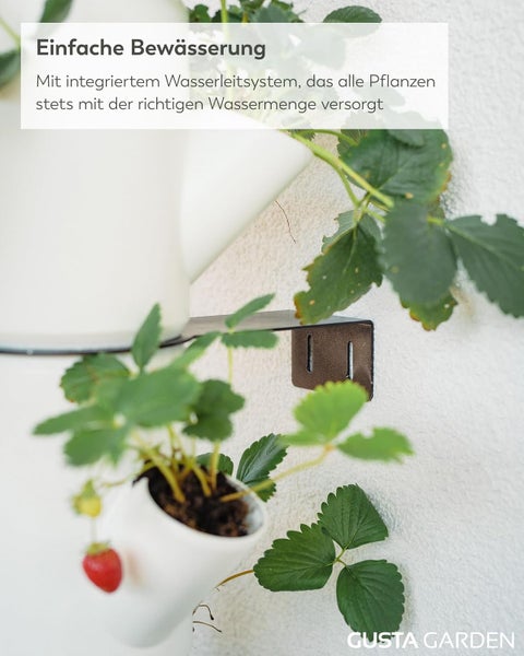 Vertikales Pflanzsystem für Erdbeeren mit integriertem Bewässerungssystem, wandmontiert mit einer Metallhalterung. Gusta Garden Logo.