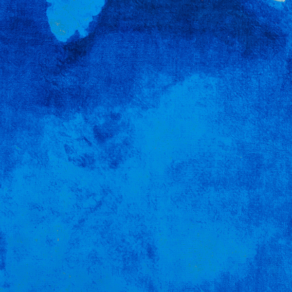 Teppich ODALAR Blau 80 x 150 cm
