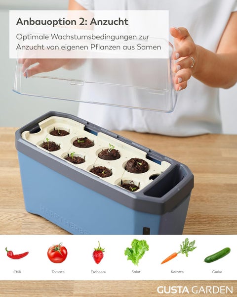 Anzuchtstation mit Pflanzen und Gemüseillustrationen