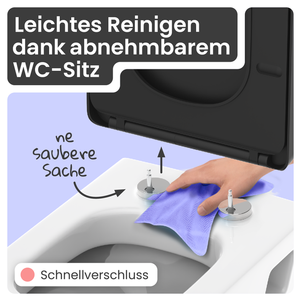 WC-Sitz mit Reinigungsfunktion durch abnehmbare Funktion