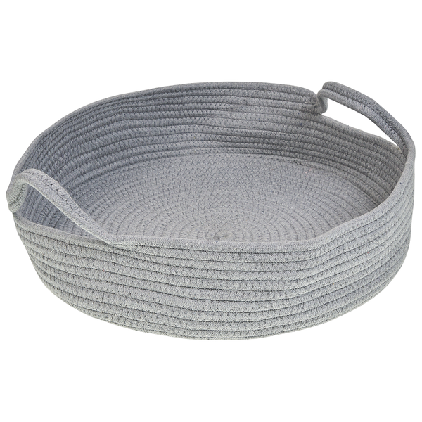 Echte Goldrute Pflanze mit Schmetterling