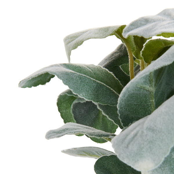 Kunstpflanze PEPEROMIA ARGYREIA 30 cm Grün