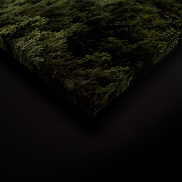 Wandbild auf Leinwand mit Waldmotiv in Nahaufnahme