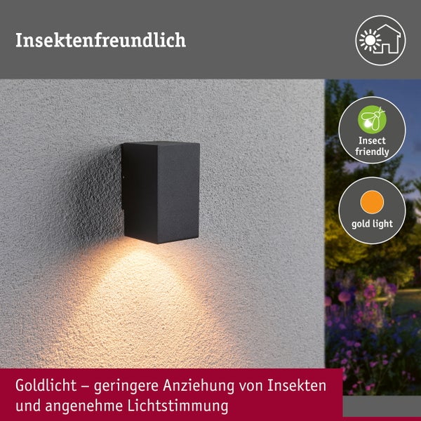 Insektenfreundliche Außenwandleuchte mit Goldlicht für angenehme Beleuchtung an der Hausfassade.