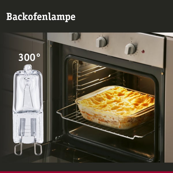 Backofenlampe für Temperaturen bis 300 Grad Celsius vor einem Backofen mit Auflauf