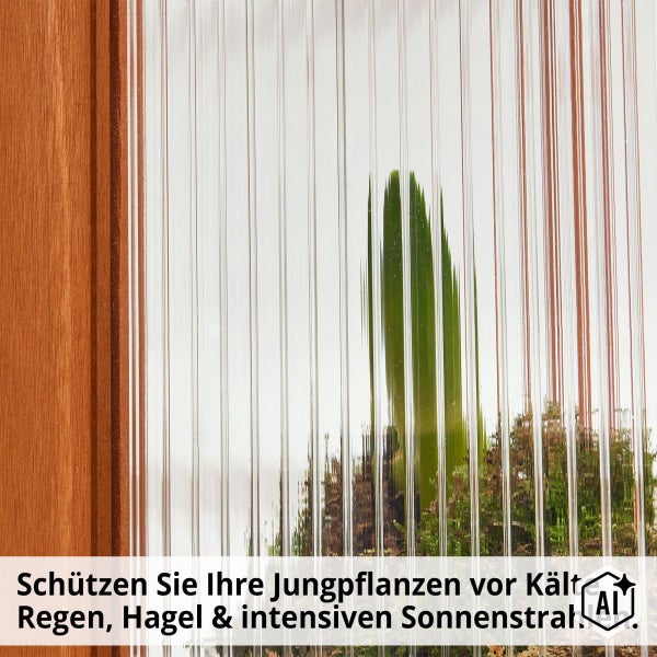 Strukturierte Stegdoppelplatte aus Kunststoff für ein Gewächshaus oder Frühbeet als Schutz vor Witterungseinflüssen