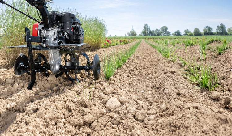 AL KO Benzin Motorhacke zur Bodenbearbeitung in einem Gartenbeet mit frischen Pflanzen