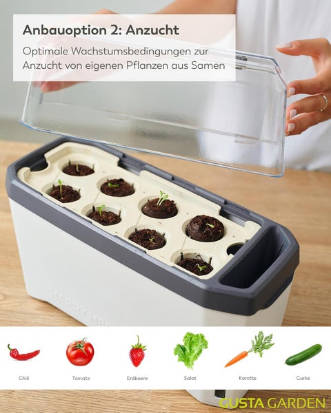 Anzuchtkasten mit transparentem Deckel und Erdtabletten zur Aufzucht von Pflanzen aus Samen