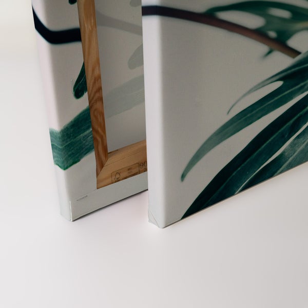 Leinwandbild mit Monstera Blatt Motiv auf Holzrahmen gespannt