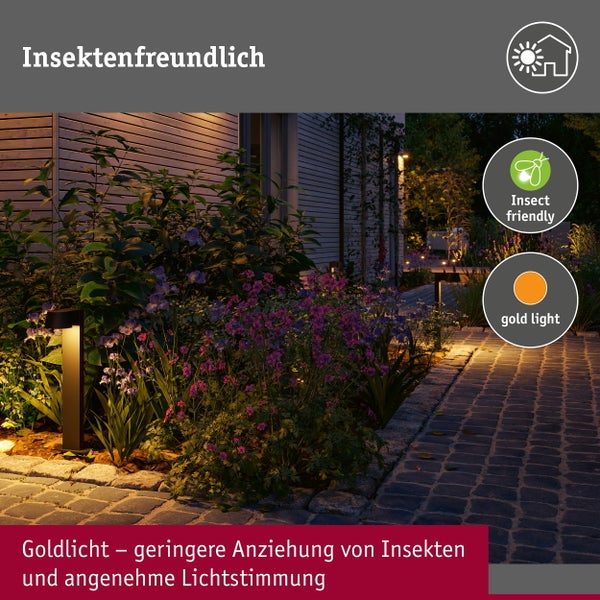 Paulmann LED Wegeleuchte mit 500 Millimeter Höhe, 8 Watt, Insektenschutz und Schutzart IP44 für den Außenbereich.