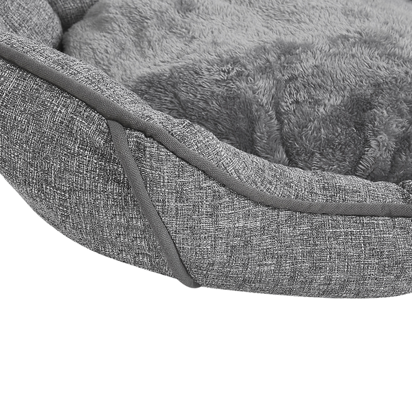 Nahaufnahme einer Heckenpflanze mit grünen Blättern