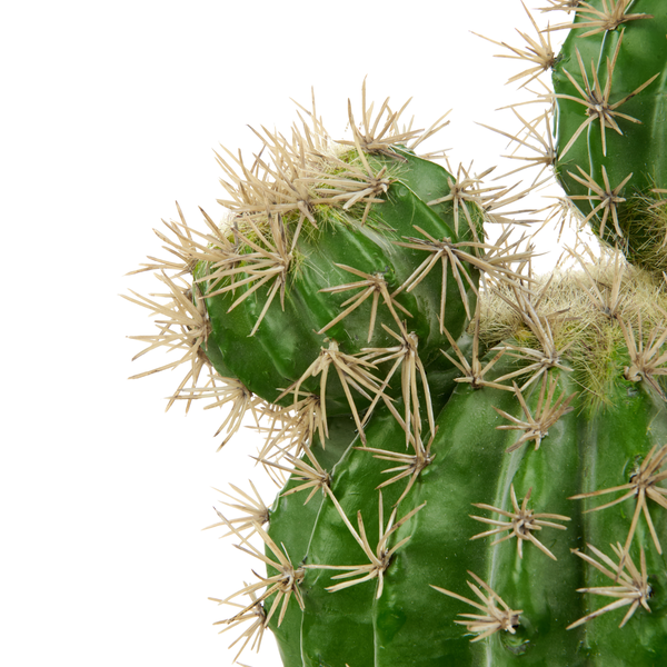 Kunstpflanze BALL CACTUS 33 cm Grün