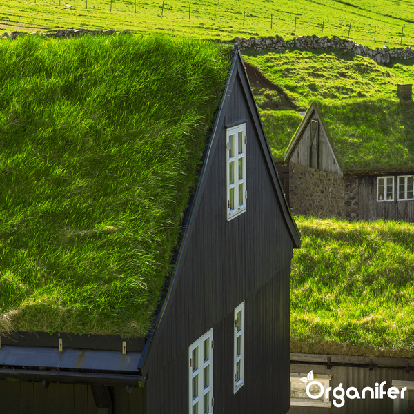 Historische Häuser mit Grasdächern in ländlicher Umgebung