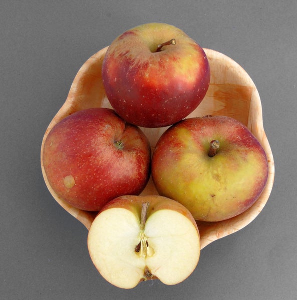 Vier Äpfel in einer Holzschale, einer davon halbiert