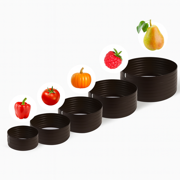 Verschieden große Pflanzenringe mit Gemüse und Obst.