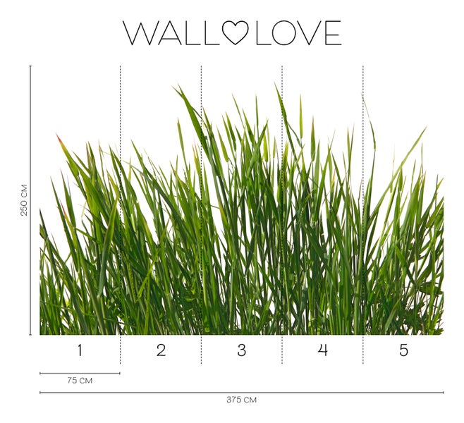 Walllove Fototapete mit Gras, 250 x 375 cm