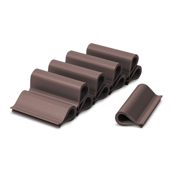 Pflanze mit Physalis in einem Pflanzgefäß im Garten